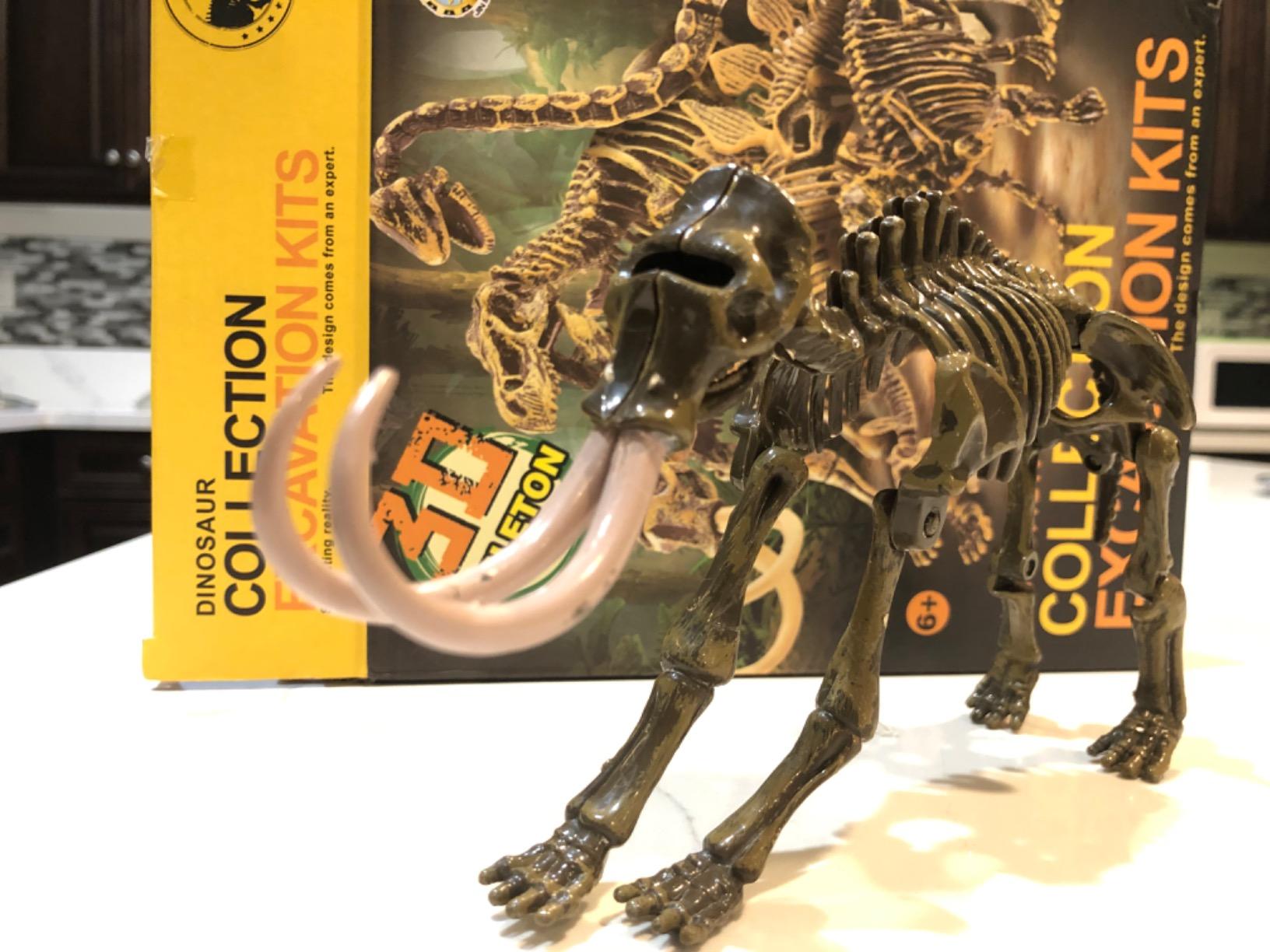 VIBIRIT Dig Up Dinosaurs Skeleton Set,Dinosaur Digging Fossil Kit Model Toys,Excavation Kits for kids5-12year,Educational Realistic Toys for Kids,Boys,Girls customer photo 2