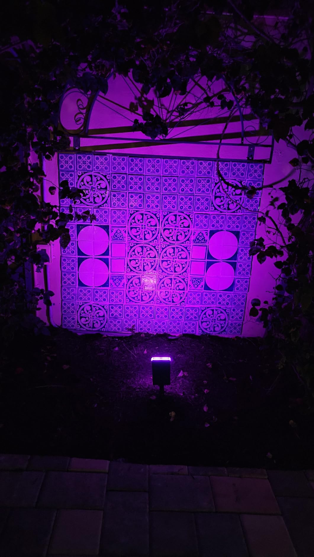 Linkind Solar Lights Outdoor Waterproof Landscape Spotlight Daylight 2 Pack customer photo 1