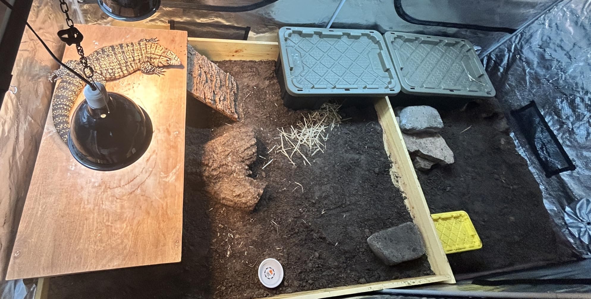 Spider Farmer 4x4 Grow Tent 48