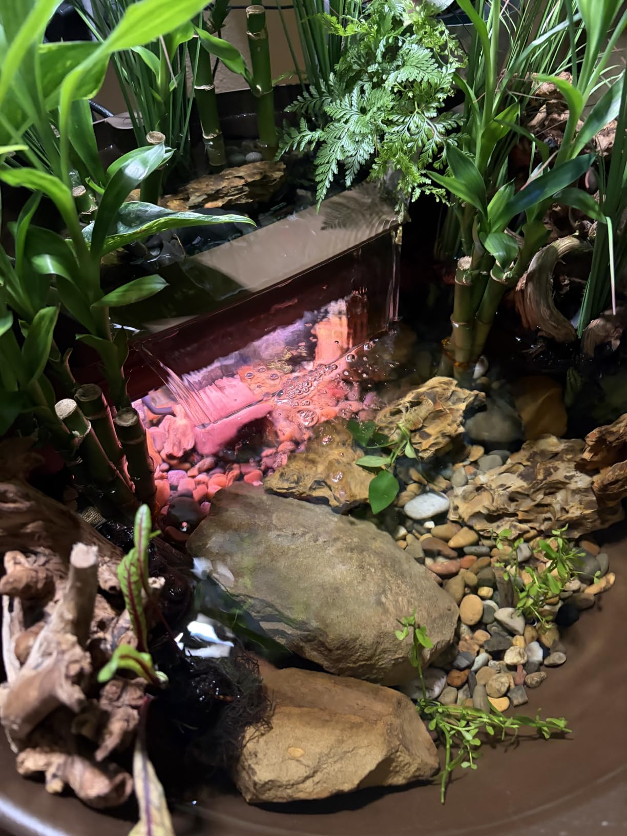 Aquascape AquaGarden Mini Pond Kit customer photo 1