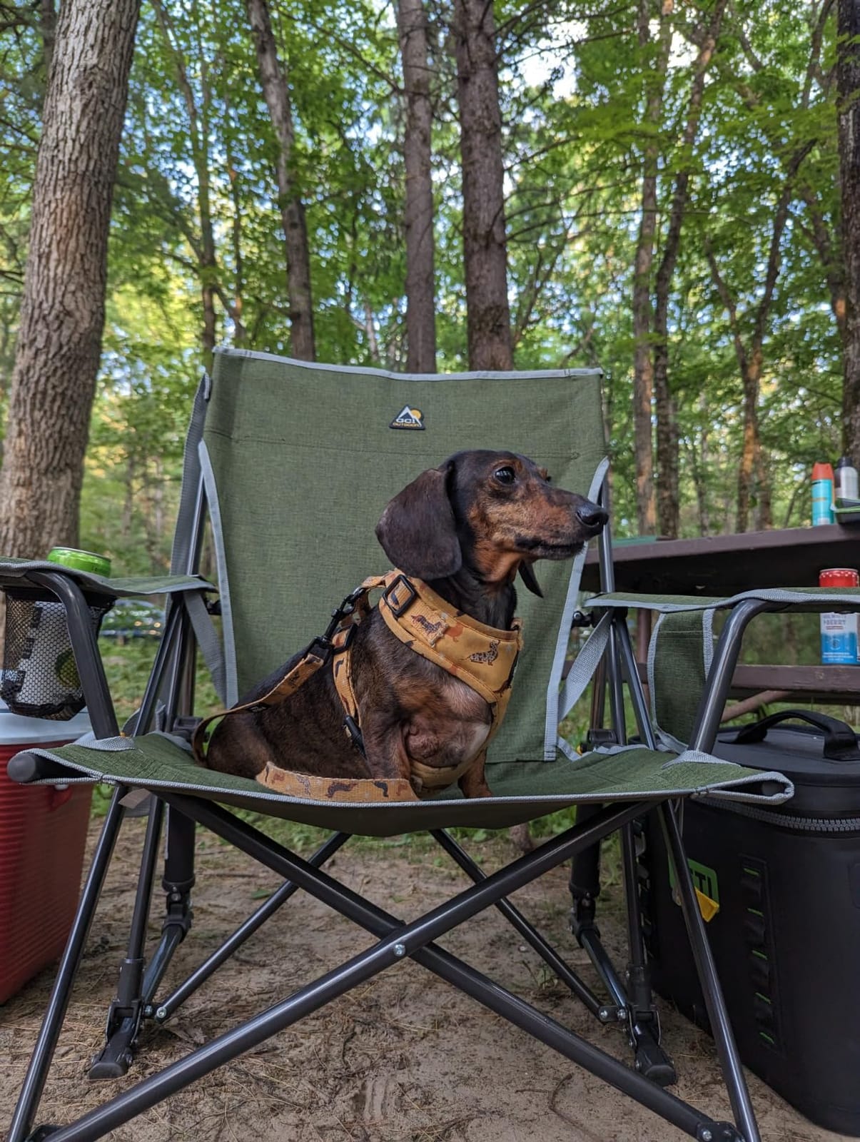 GCI Outdoor Kickback Rocker Outdoor Rocking Chair with Beverage Holder customer photo 2
