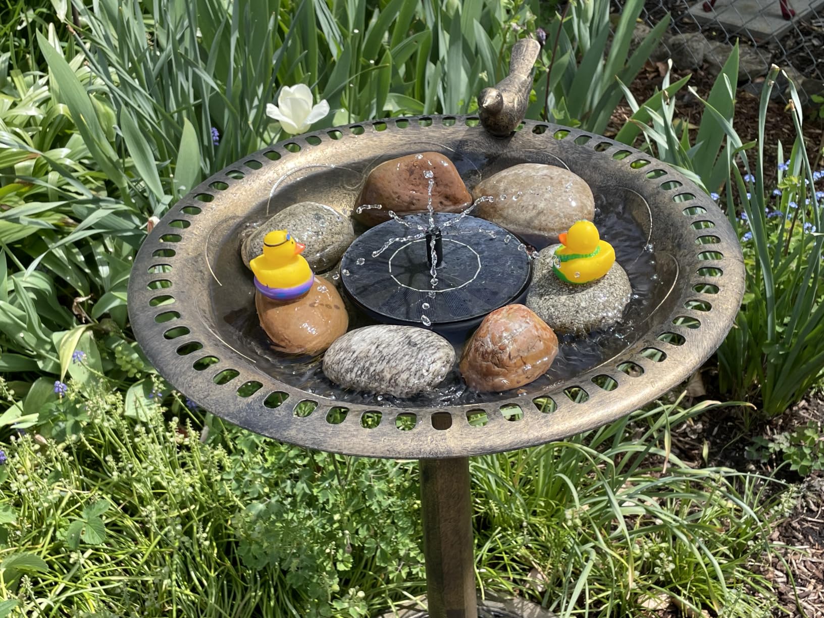 Solar Fountain Water Pump for Bird Bath, New Upgraded Mini Solar Powered Fountain Pump 1.5W Free Standing Solar Panel Kit Water Fountain for Garden, Pond, Pool, and Outdoor customer photo 2