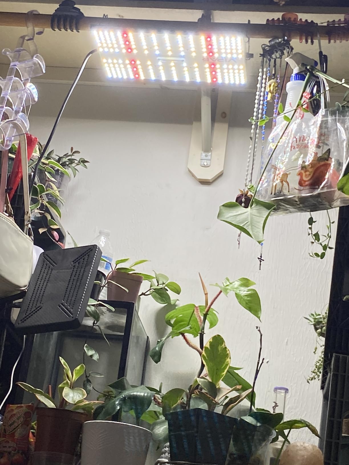 250 Watt Plant Lights for Indoor Growing, Full Spectrum LED Grow Lights customer photo 2