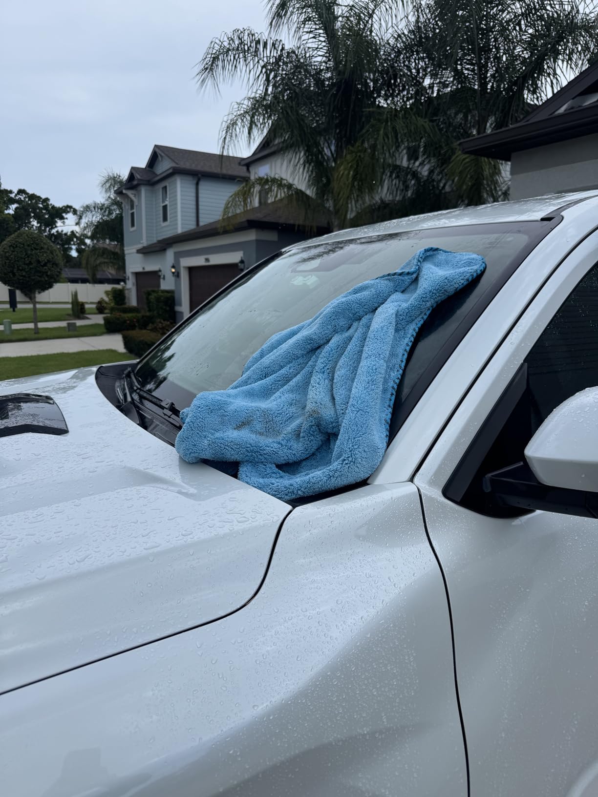 Chemical Guys, Woolly Mammoth Large Microfiber Drying Towel, 36 x 25 in customer photo 1