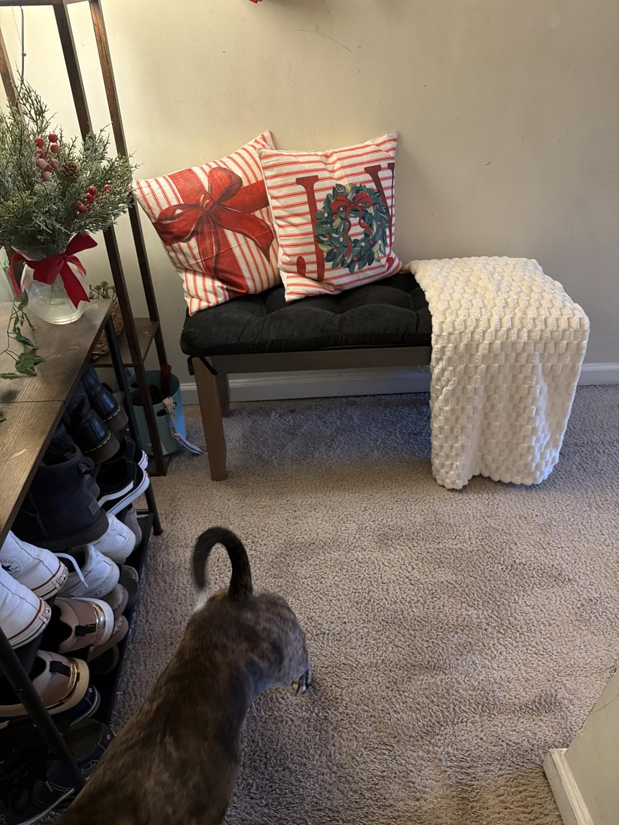 Alaterre Newport Solid Wood Entryway Bench with Rush Seat, Natural customer photo 1
