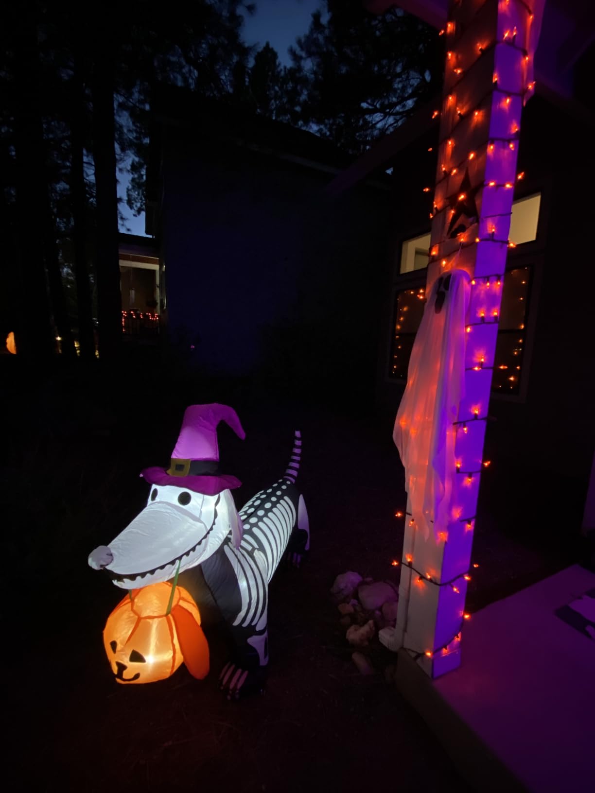 GOOSH 5.5 FT Halloween Inflatables Outdoor Decorations Skeleton Puppy Inflatable Yard Decoration with Build-in LEDs Blow Up Pumpkin for Halloween Party Indoor Outdoor Yard Garden customer photo 2