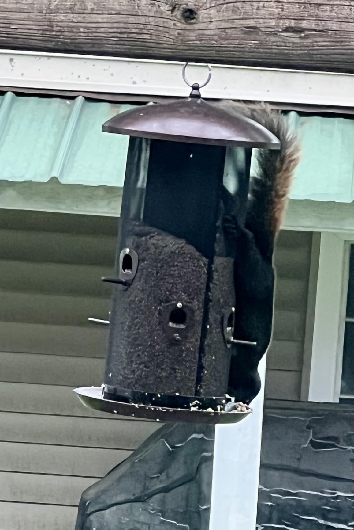 Nature's Rhythm Metal Hopper Bird Feeder Two Chambers，Heavy Duty Mesh Metal Dual Seed Compartments Outdoor Hanging Wild Bird Feeder with 10 Feeding Ports,10lbs Seed Capacity customer photo 2
