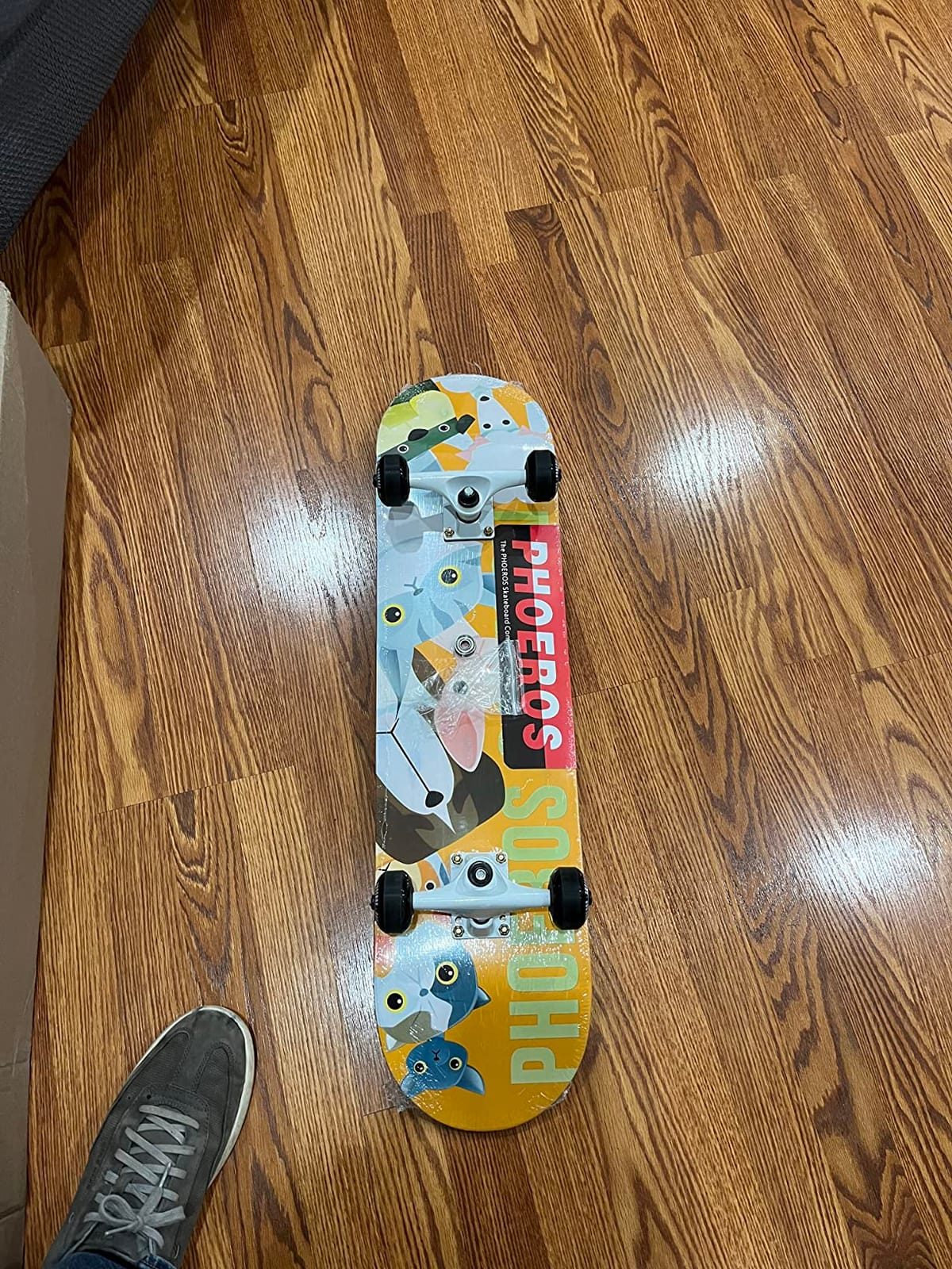 PHOEROS Complete Skateboards- Standard Skateboards for Beginners Kids Boys customer photo 2