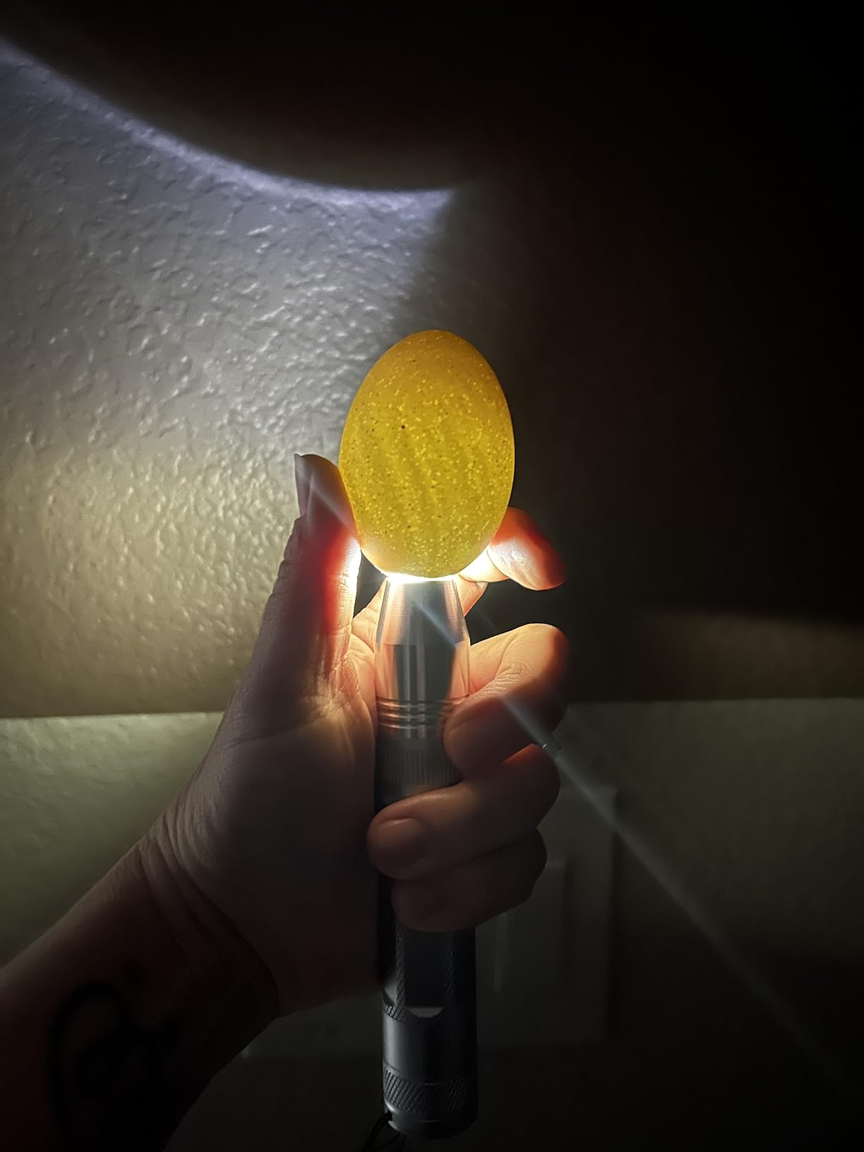 Egg Candler Light Tester Egg Candler Tester Candling Lamp for All Egg Typy customer photo 1