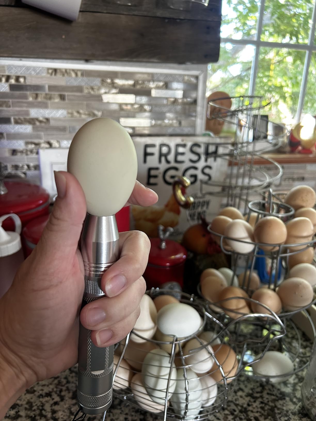 Egg Candler Light Tester Egg Candler Tester Candling Lamp for All Egg Typy customer photo 2