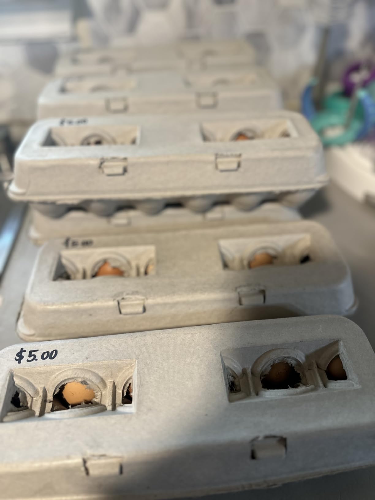 MT Products Blank Natural Pulp Egg Cartons Holds Up to Twelve Eggs - 1 Dozen - Strong Sturdy Egg Crate Cardboard Material Perfect For Storing Extra Eggs (25 Pieces) - Made in the USA customer photo 1