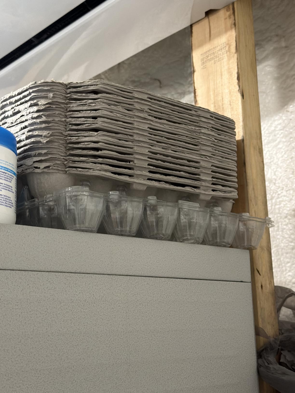 MT Products Blank Natural Pulp Egg Cartons Holds Up to Twelve Eggs - 1 Dozen - Strong Sturdy Egg Crate Cardboard Material Perfect For Storing Extra Eggs (25 Pieces) - Made in the USA customer photo 2
