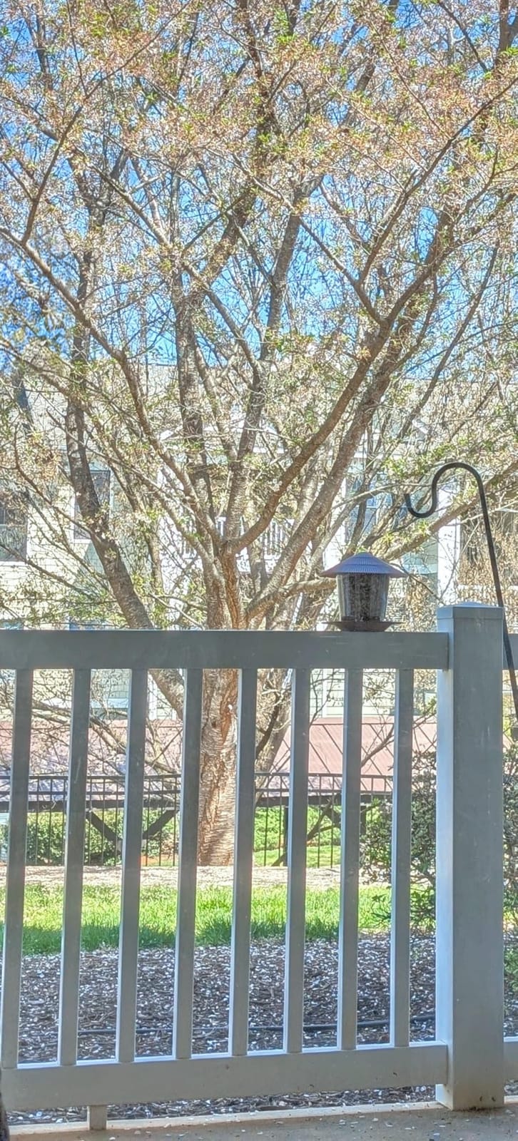 Hanizi Bird Feeder Outdoor Hanging for Wild Bird Seed, Brown customer photo 1