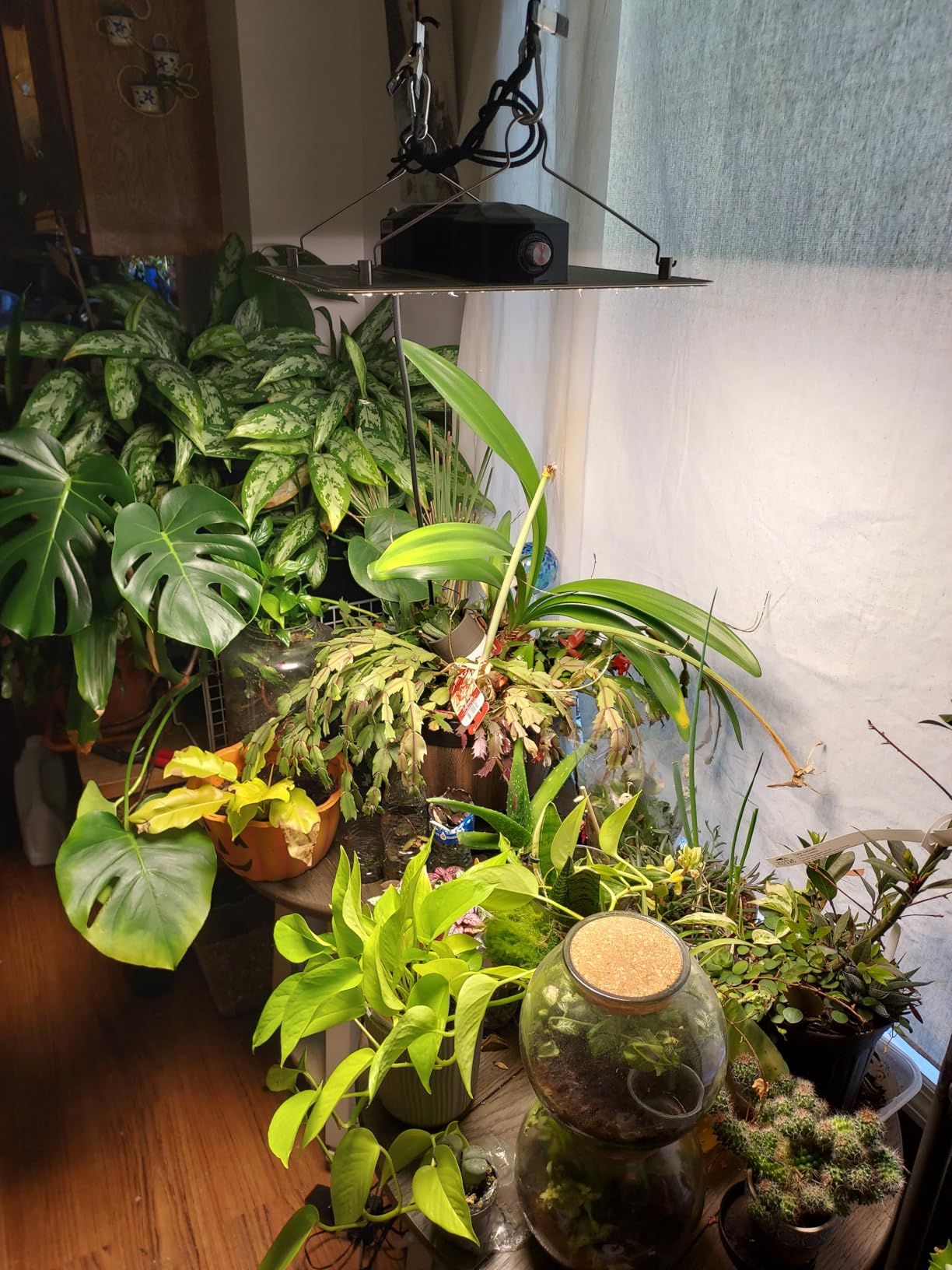 VIVOSUN LumaLight 400W LED Grow Light, Full Spectrum Plant Light customer photo 1