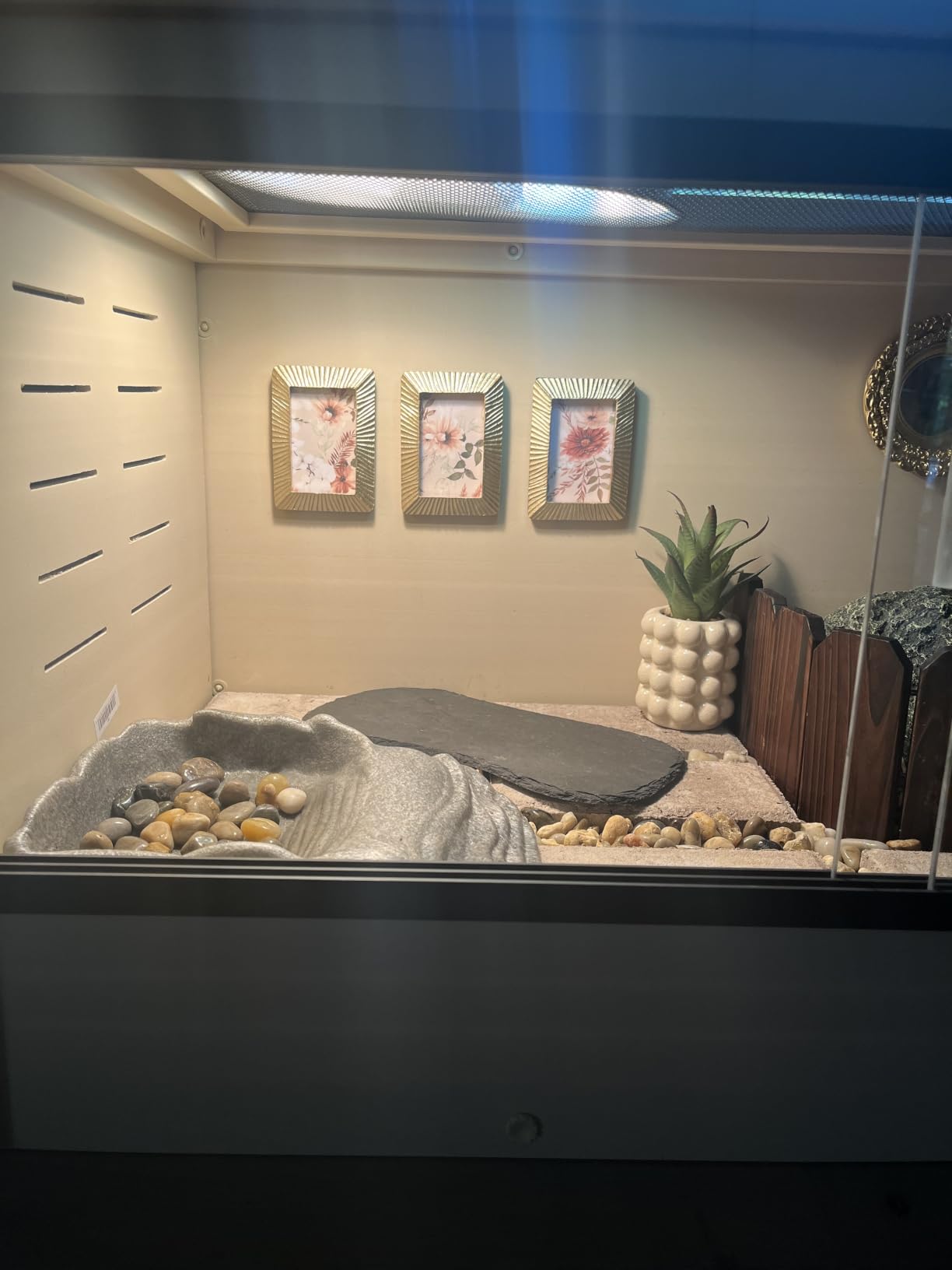 New Age Pet® ECOFLEX® 24