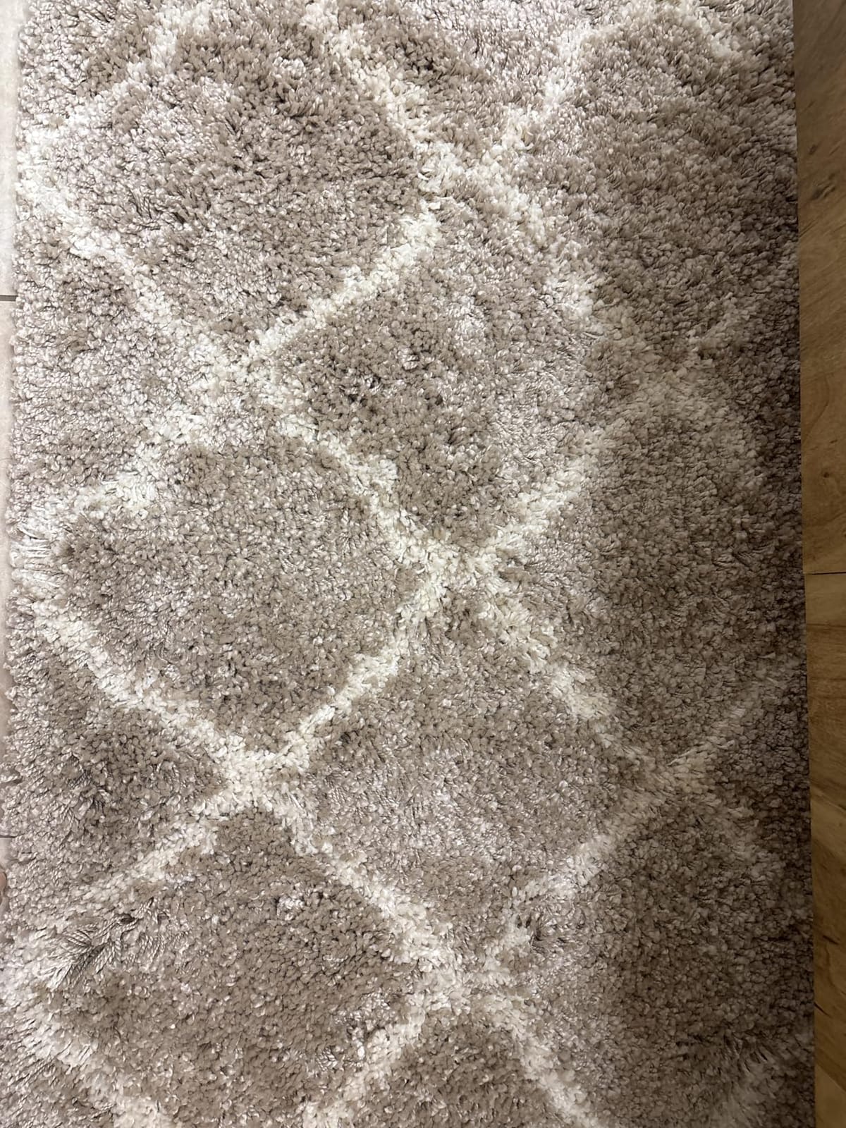 SAFAVIEH Hudson Shag Rug 5'3
