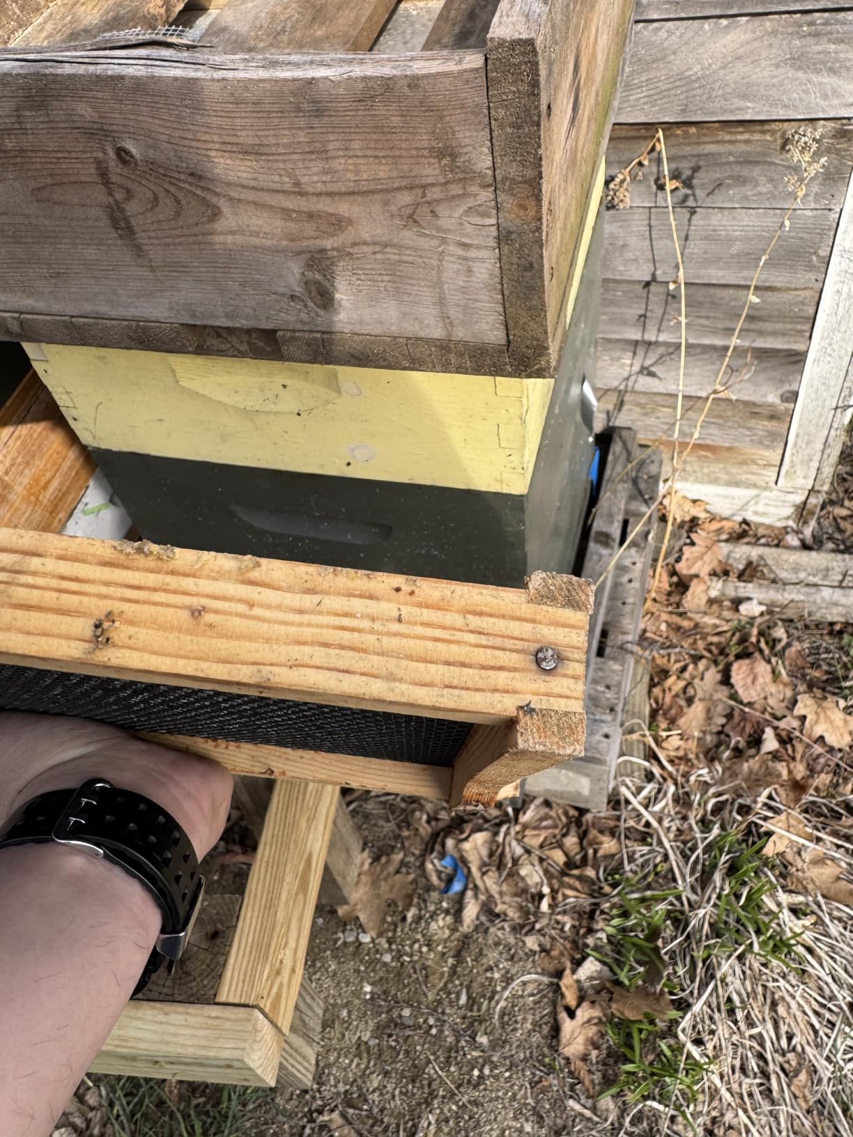 Beehive 10 Frame Bee Hives and Supplies Starter Kit, Bee Hive for Beginner, Honey Bee Hives Includes 1 Deep Brood Hive Box, 1 Bee Hive Super Box with Beehive Frames and Foundations customer photo 1