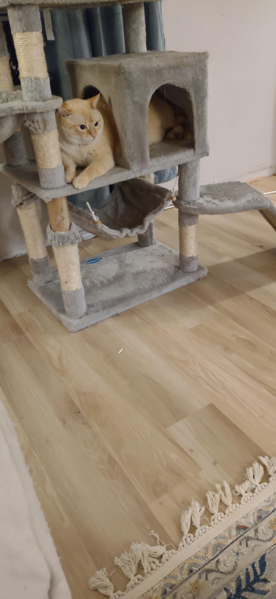 LUCiDA SURFACES Luxury Vinyl Flooring Tiles-Peel and Stick Floor Tile for DIY Installation-36 Wood-Look Planks-Winter-BaseCore-54 Sq. Feet customer photo 2