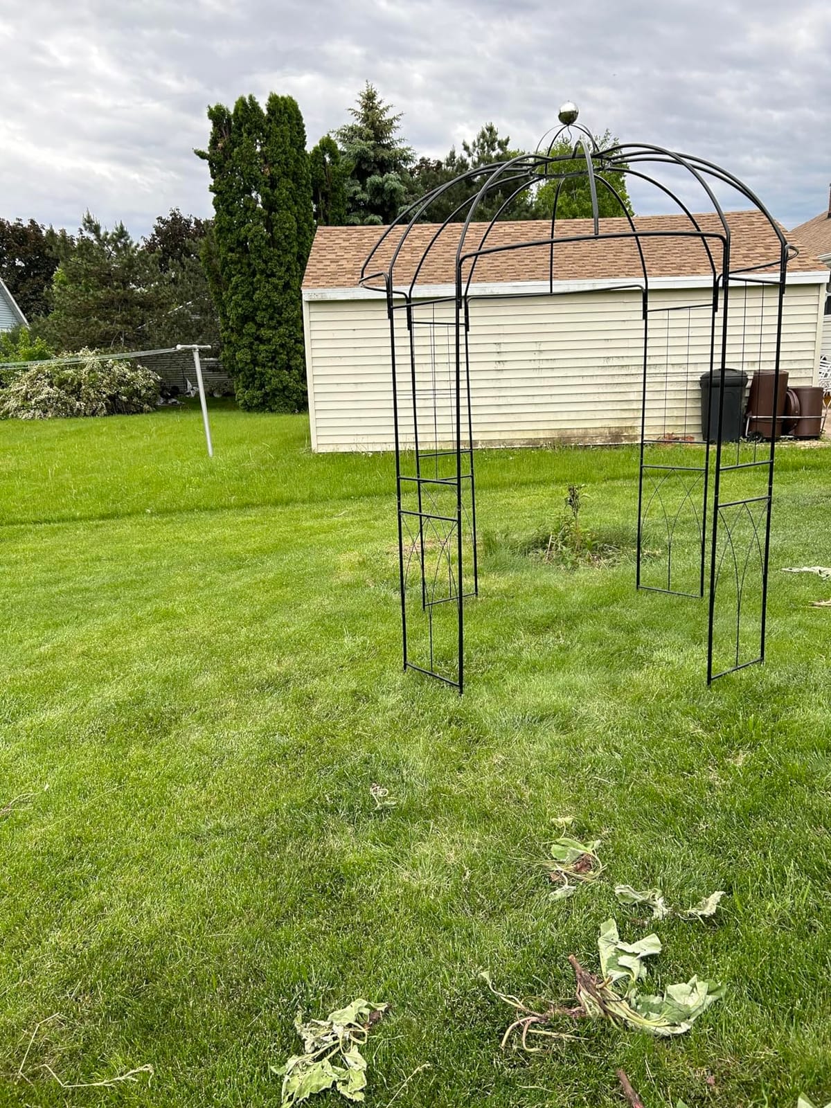 Garden Arches Arbors Birdcage Shape,9' High x 6.8' Wide,Metal Pergola Pavilion Gazebo Enduring Iron Trellis Plants Support Use for Outdoor Garden Arbor Climbing Plants Wedding Arches Ceremony customer photo 1