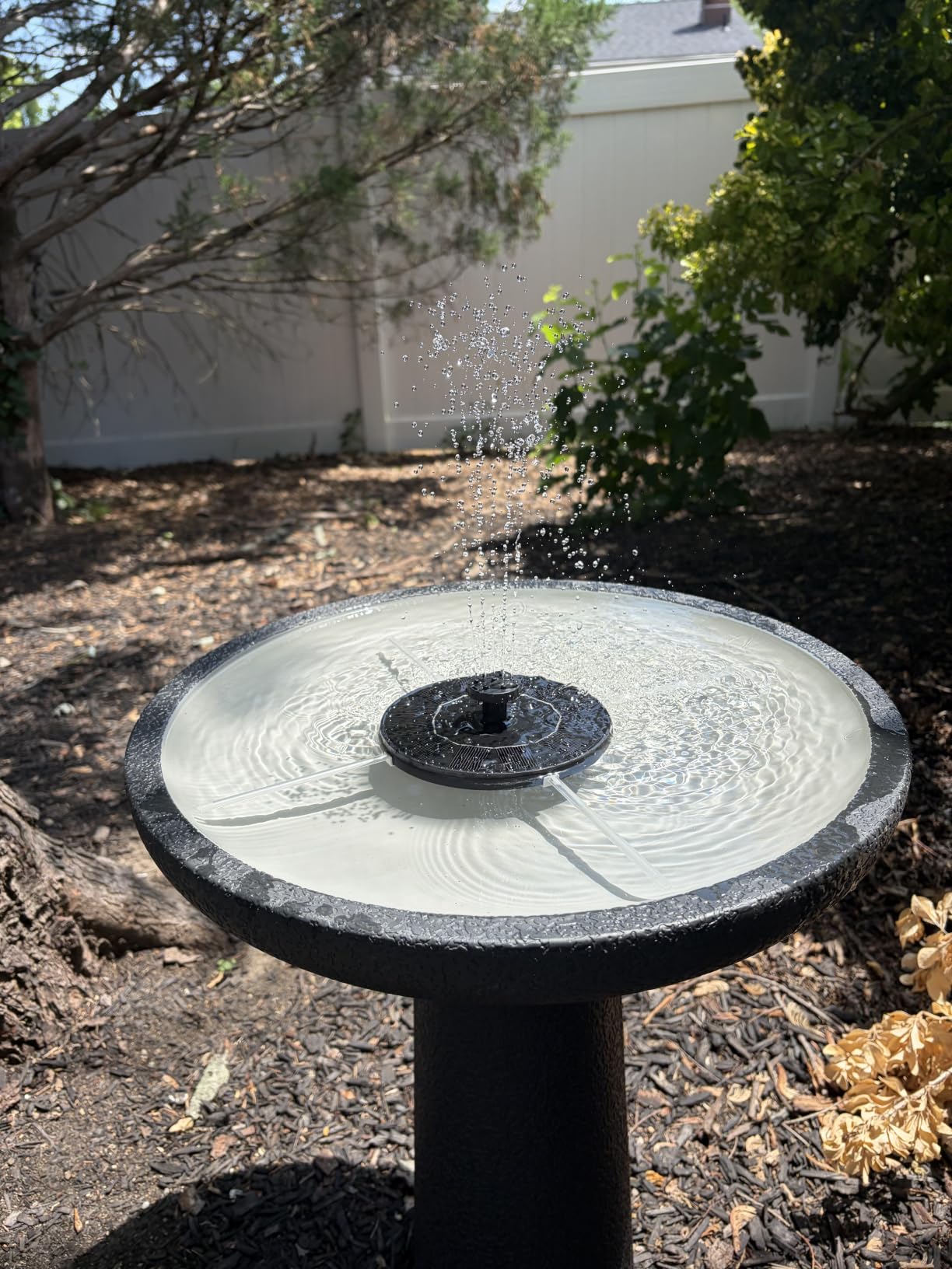 Solar Fountain, Floating Solar Powered Water Fountain Pump for Bird Bath, Garden, Pond, Pool, Outdoor (1W) customer photo 1