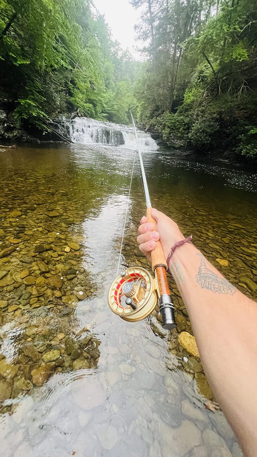 Maxcatch AVID PRO Fly Fishing Reel with CNC-machined Aluminum Body Super Large Arbor Design-3/5, 5/7, 7/9, 9/11 Weights customer photo 1