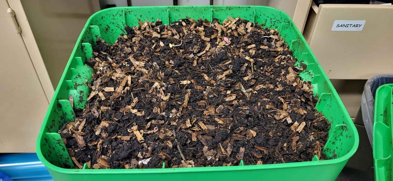FCMP Outdoor - The Essential Living Composter, 2-Tray Worm Vermicomposter Bin (HF-LC4000v2-GRN) Green customer photo 1