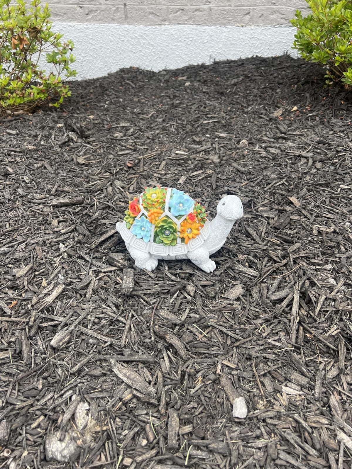 Nacome Solar Turtle Garden Statue - Succulent & 7 LED Lights, Outdoor Decor customer photo 1