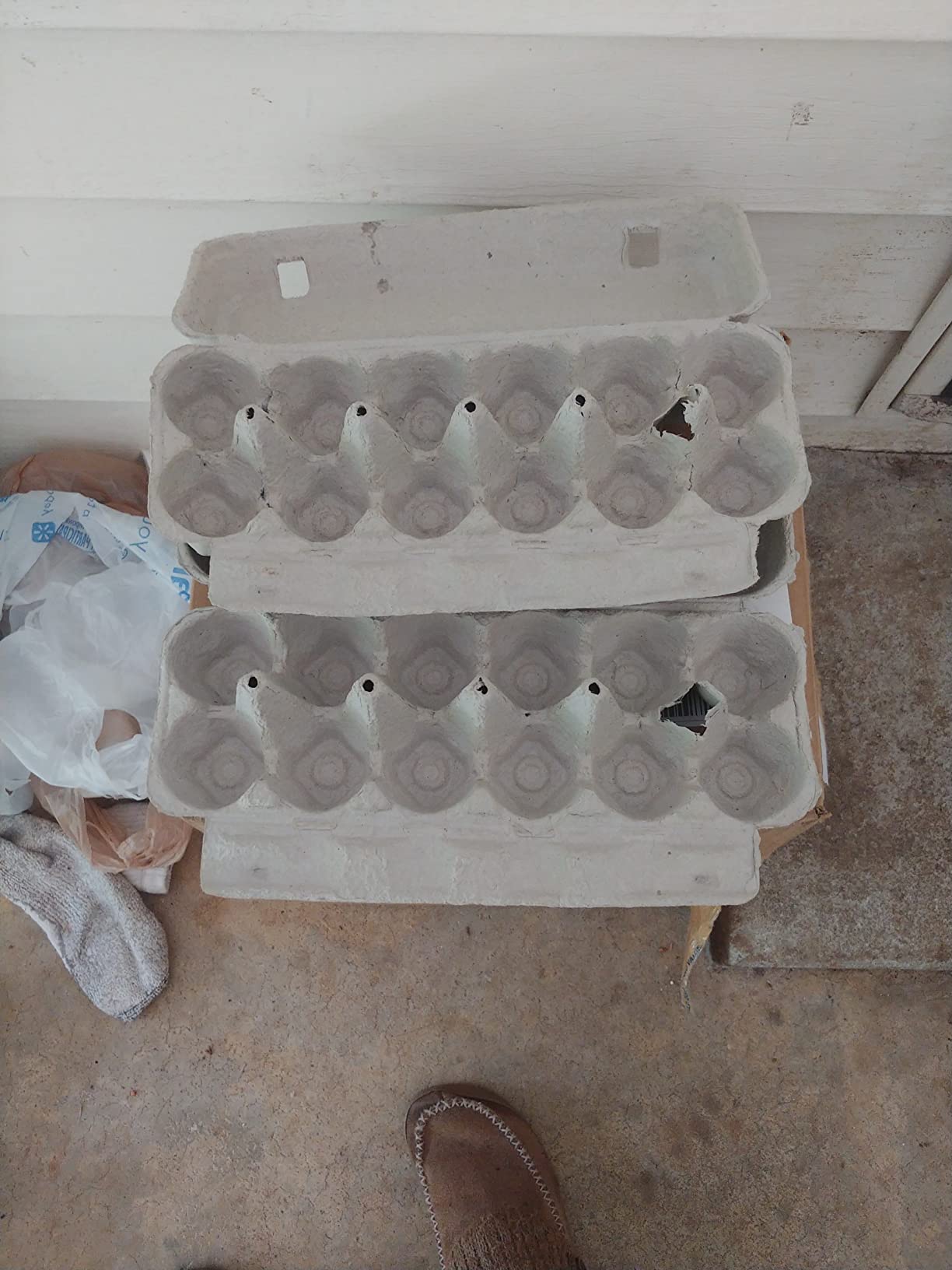 Blank 12-Egg Flat Top Paper Pulp Carton - Bulk Egg Cartons (250) customer photo 1