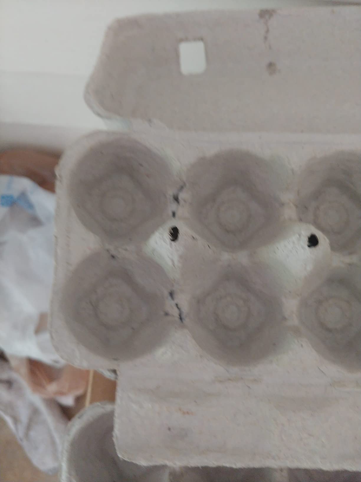 Blank 12-Egg Flat Top Paper Pulp Carton - Bulk Egg Cartons (250) customer photo 2