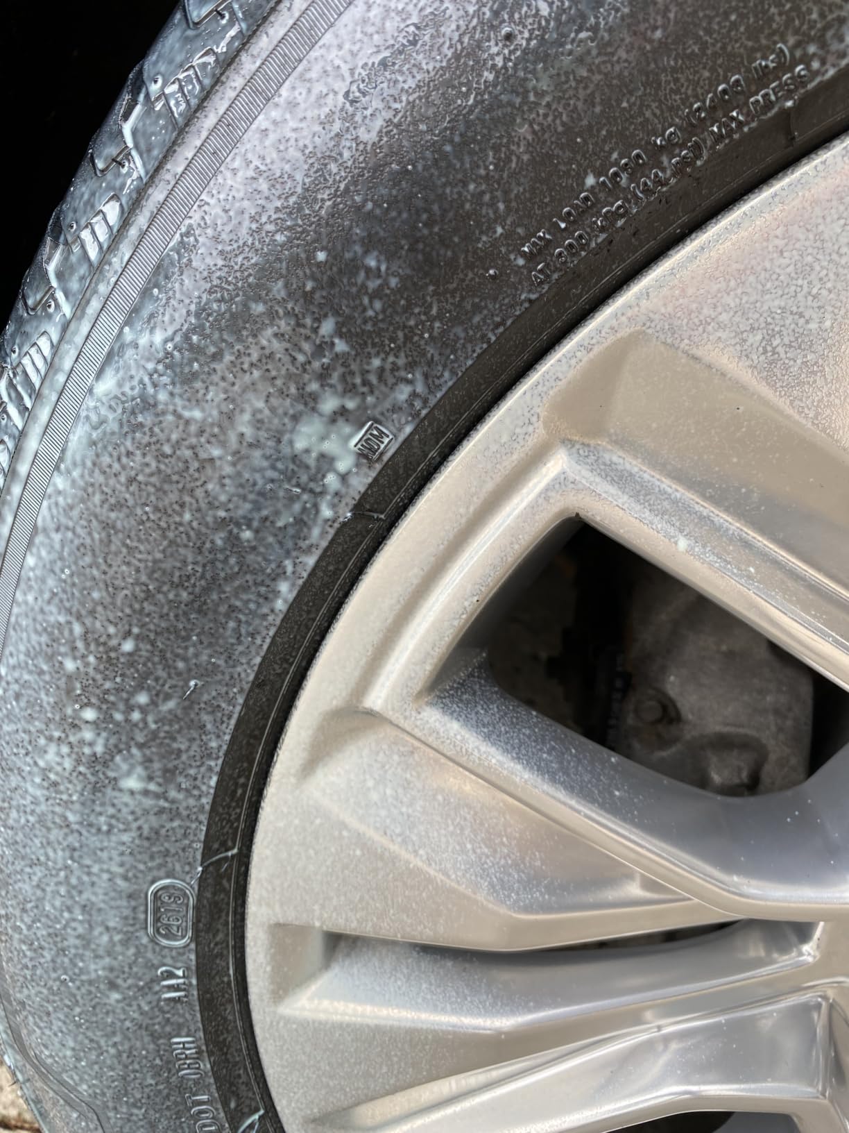 ExoForma Wet Tire Dressing Spray - Extremely High Shine Tire Dressing for That Wet Look - No Sling, Non-Greasy Silicone Formula with UV Protection - Easy to Apply, Minimal Cure Time - 16 fl oz customer photo 2