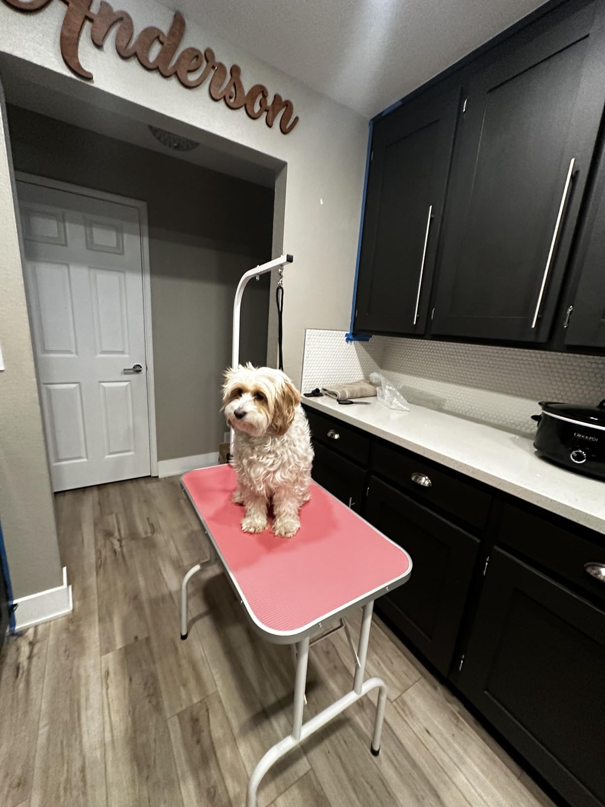 LEIBOU Pet Dog Grooming Table Foldable Grooming Table Heavy Duty Iron Frame with Arm & Noose for Dog Cat Pet Grooming (32'', Pink) customer photo 1