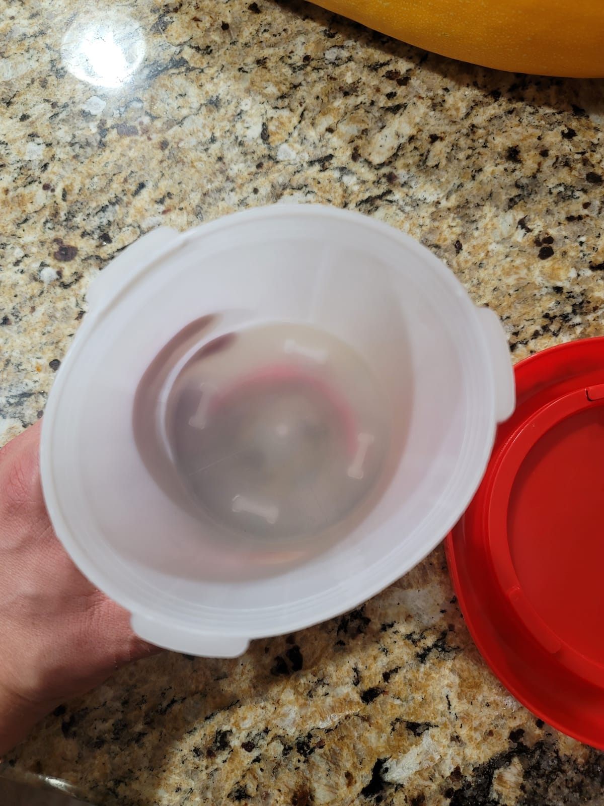 DoubleWood 4PACK Plastic Poultry Drinker Chick Waterer Kit 1 L Waterer Hanging Poultry Water Container (4) customer photo 1