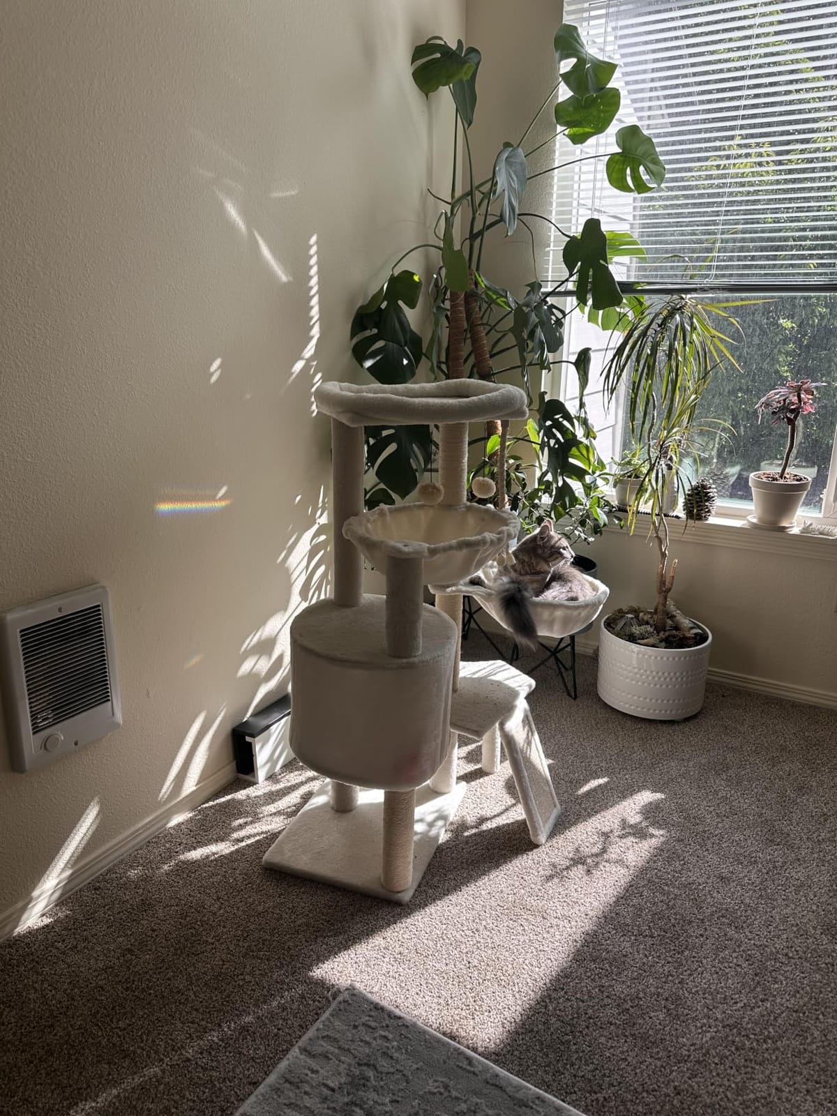 Three Layer Cat Tree with Cat Condo and Two Hammocks,Grey customer photo 2