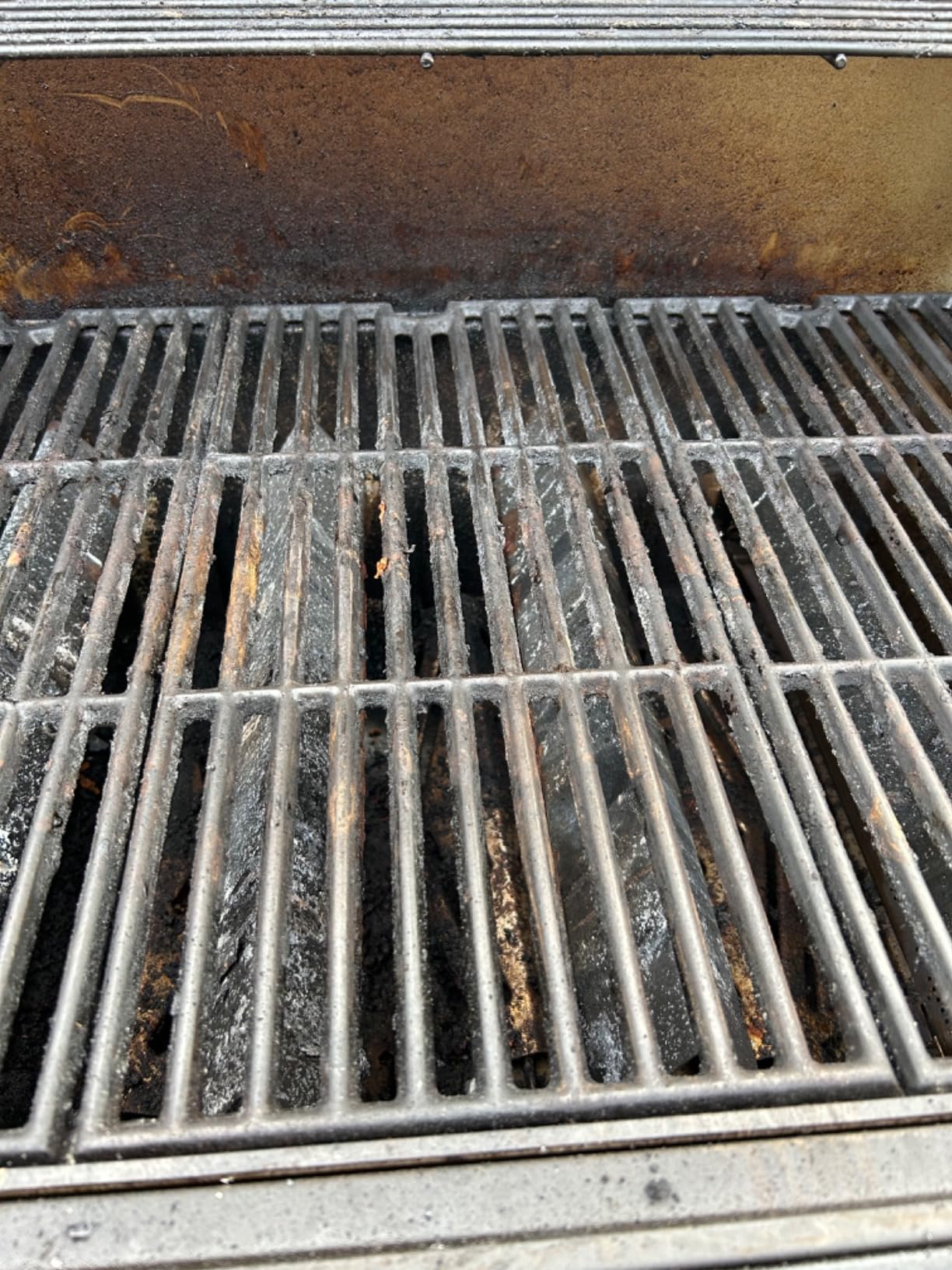 SIMPLETASTE Grill Brush and Scraper for BBQ customer photo 1