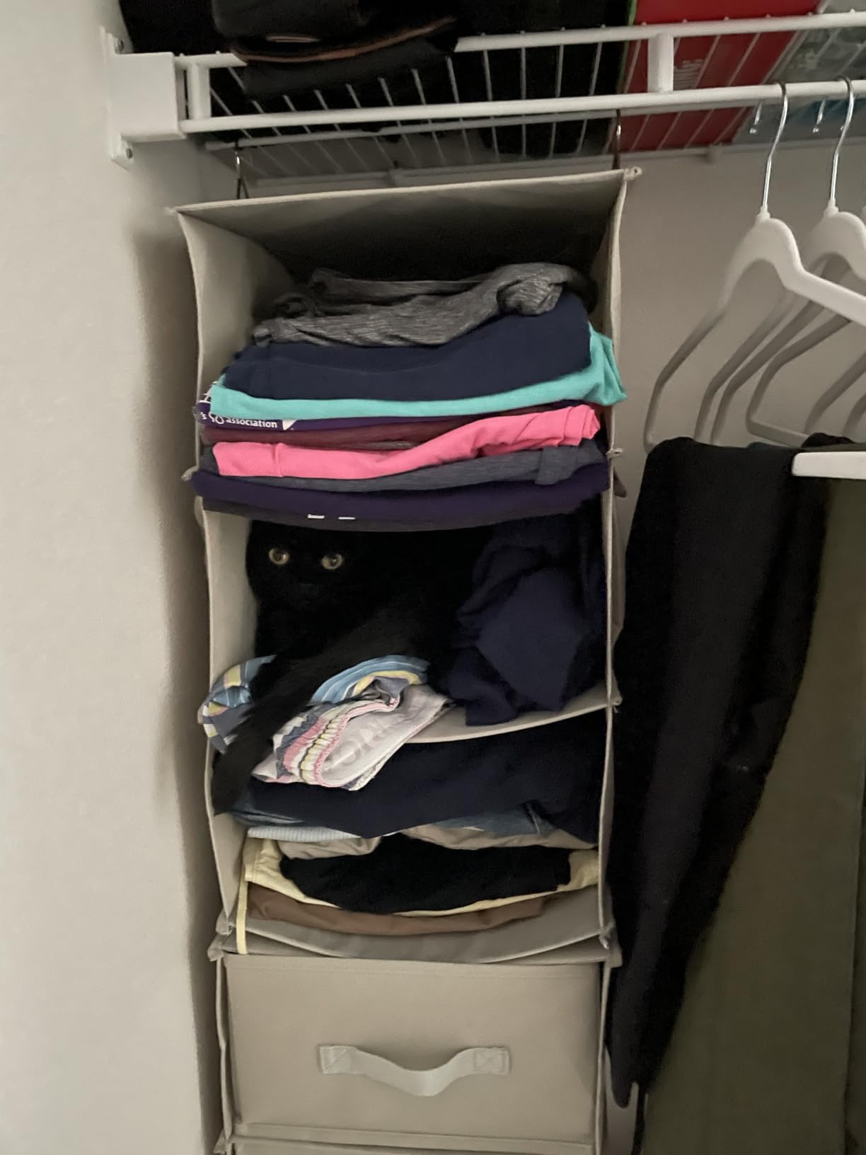 6-Shelf Hanging Closet Organizer with 3 Drawers, Separable, Silver Gray customer photo 2