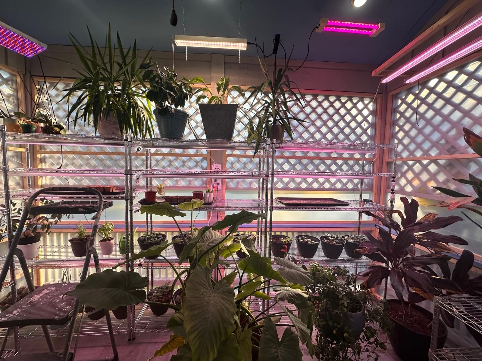 Grow Light for Indoor Plants,4ft T8, 180W(4 x 45W, 1080W Equivalent), Super Bright, Full Spectrum Sunlight Plant Light, LED Grow Lights for Indoor Plants, Greenhouse, 4-Pack customer photo 2