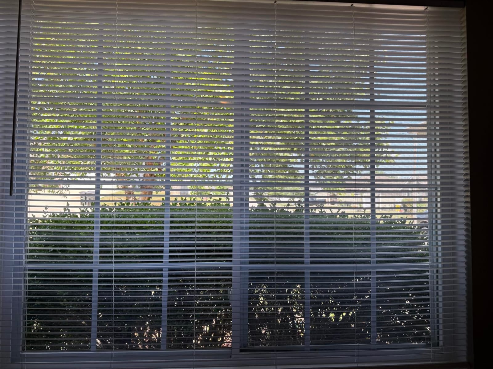 Calyx Interiors 1“ Mini Blinds, 34.5“W x 60“H, White, Light Filtering customer photo 1