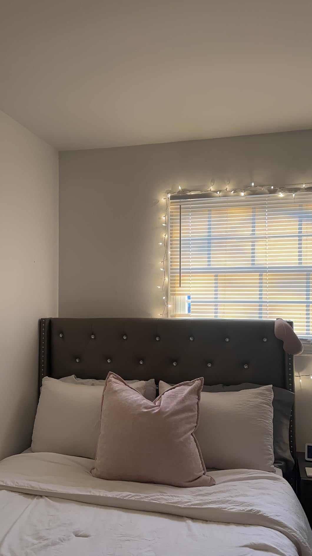 HISHINY Christmas Lights 100 Count Mini Clear Lights 21ft White Wire Christmas Tree String Lights Set for Outdoor Indoor Christmas Decorations Wedding Valentines Day Decor,UL Certified (21feet) customer photo 1