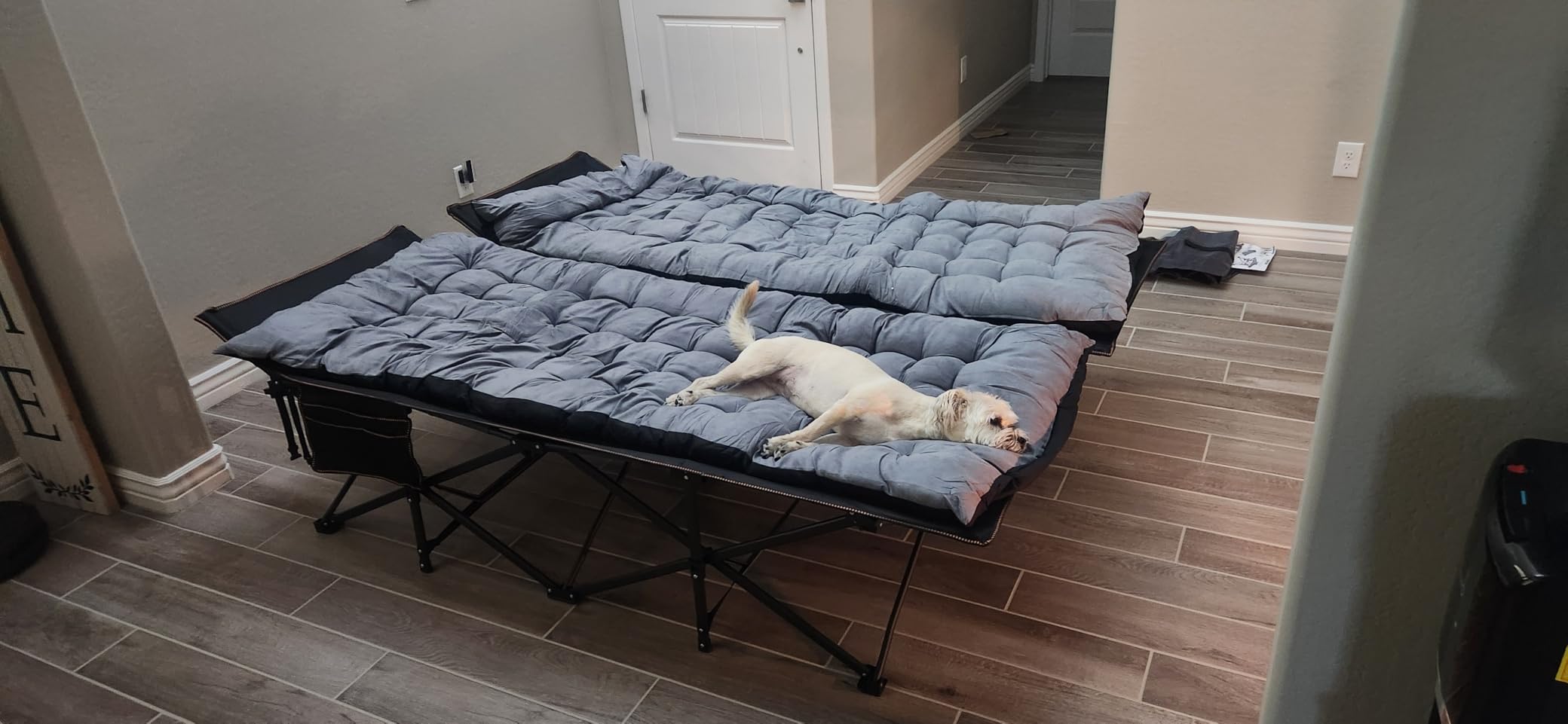 DoCred Folding Camping Cot with Mattress, 2 Pack Heavy Duty Folding Cot customer photo 1