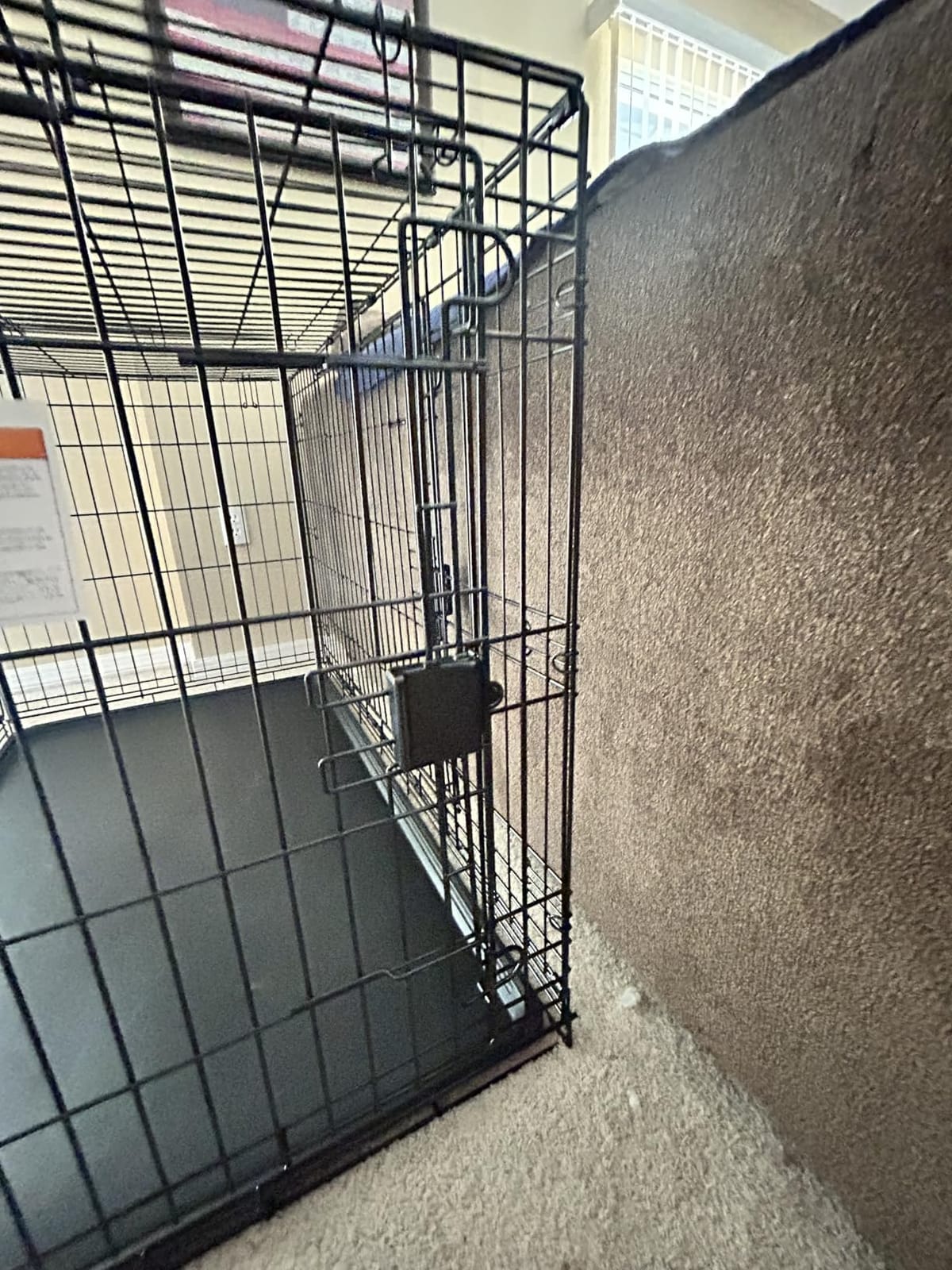 Amazon Basics Portable, Easy to Assemble, Foldable Metal Wire Dog Crate with Removable Tray, Double Door, Divider Panel, Handle, 36