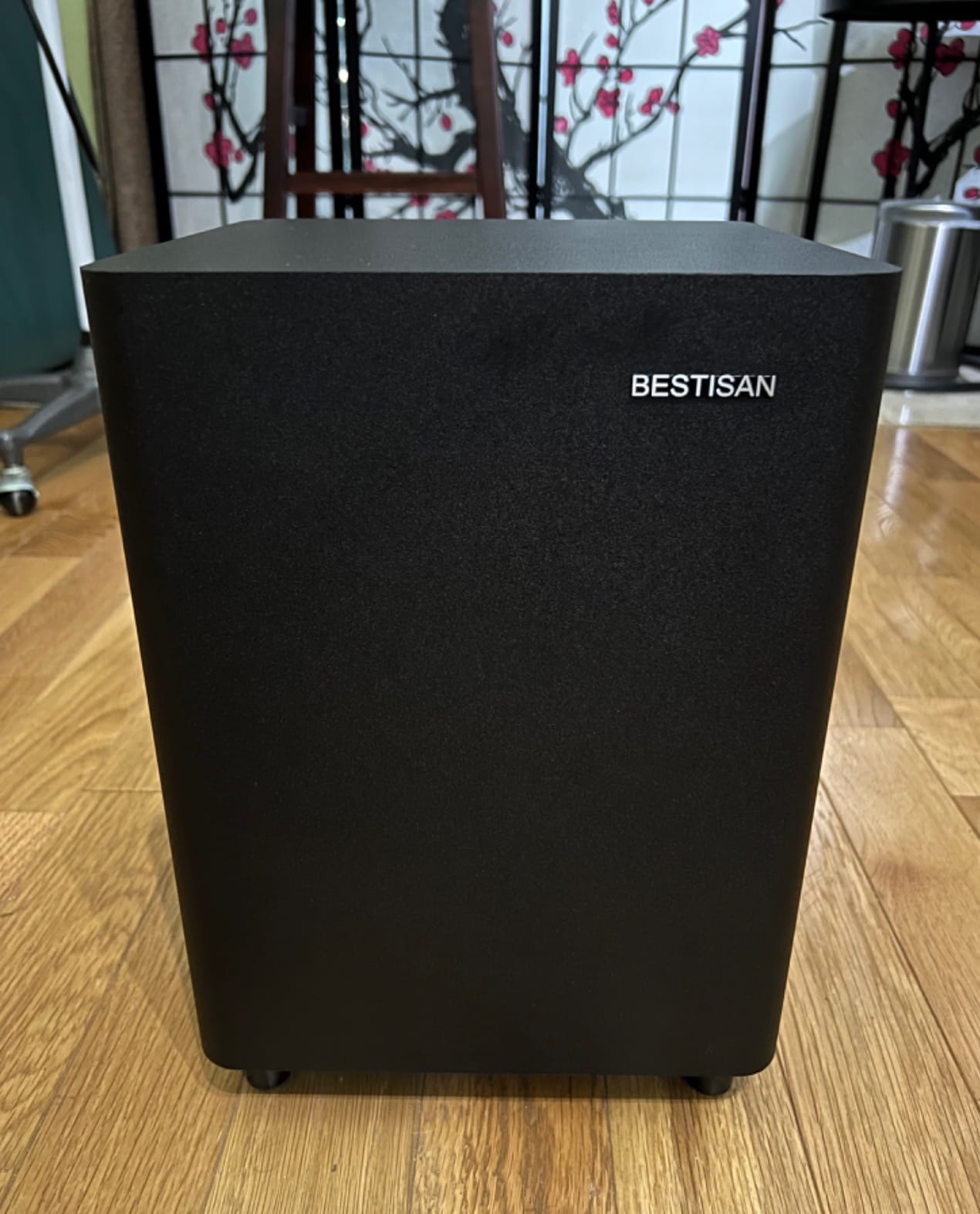 BESTISAN Subwoofer, 6.5