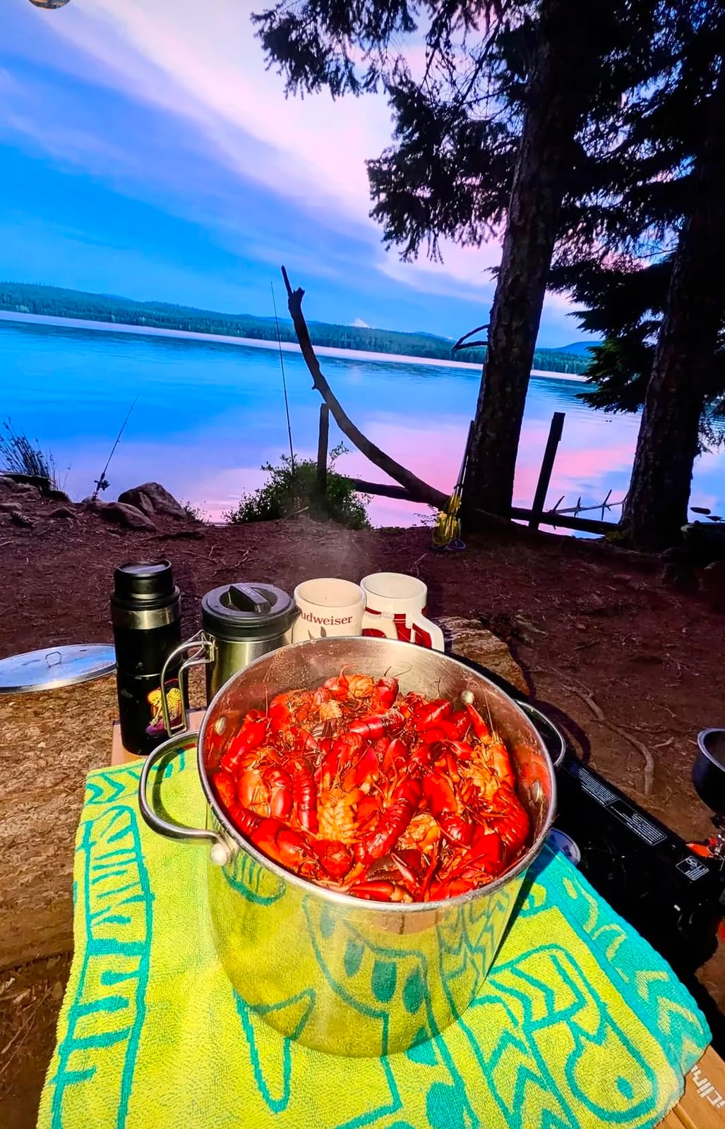 Coleman Classic 1-Burner Butane Stove, Portable Camping Cooktop with Carry Case & InstaStart Ignition, Adjustable Burner with 7650 BTUs of Power for Camping, Grilling, Tailgating, & More customer photo 2