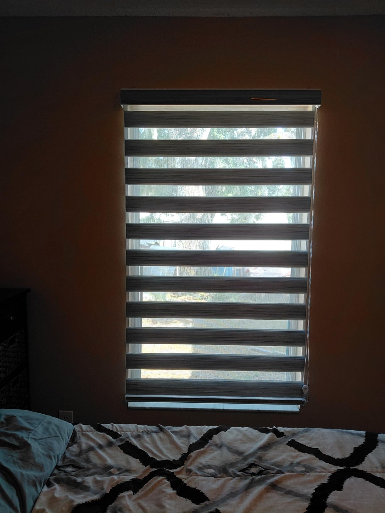 Zebra Roller Shades, Dual Layer Roll Up Blind for Living Room, Semi Sheer Shades Window Privacy Light Control for Day and Night, (Maximum Height 72inch, White Color, Width 34 inch) customer photo 1