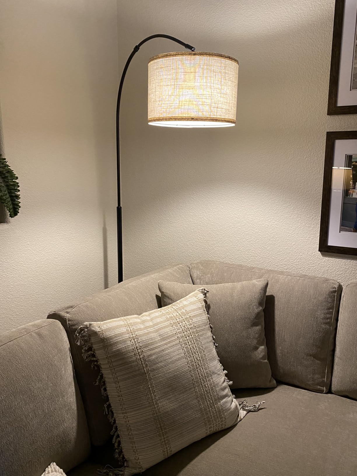 Dimmable Floor Lamp, Arc Floor Lamp with Dimmer, Black Standing Lamp with Adjustable Hanging Shade, Over Couch Tall Reading Light, Modern Pole Lamp for Living Room Bedroom, 9W LED Bulb Included customer photo 1