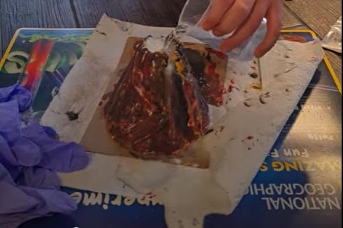 National Geographic Mega Science Lab with 75 Experiments for Kids 8-12 customer photo 2