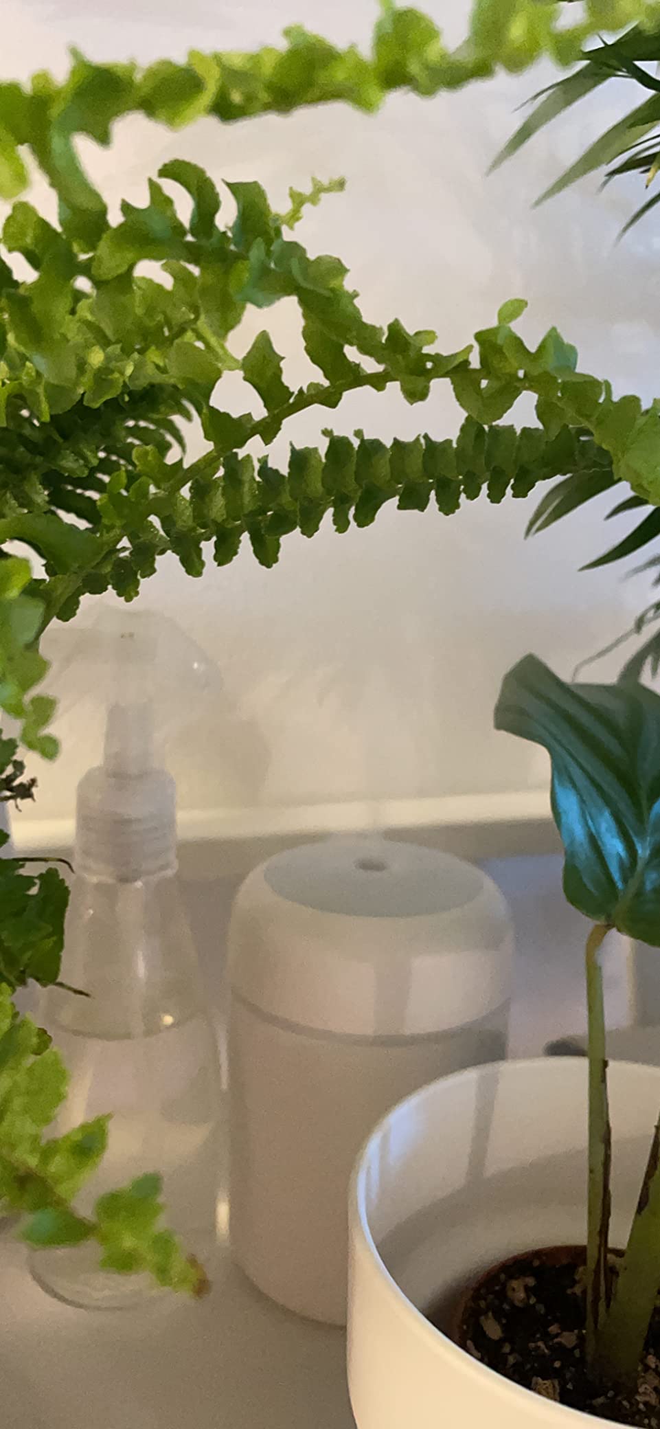 Portable Mini Humidifier, 300ml with Colorful LED Night Light, USB Personal Desktop Humidifier for Car Office Home Travel, Auto Shut-Off, 2 Mist Modes, Super Quiet(white) customer photo 2