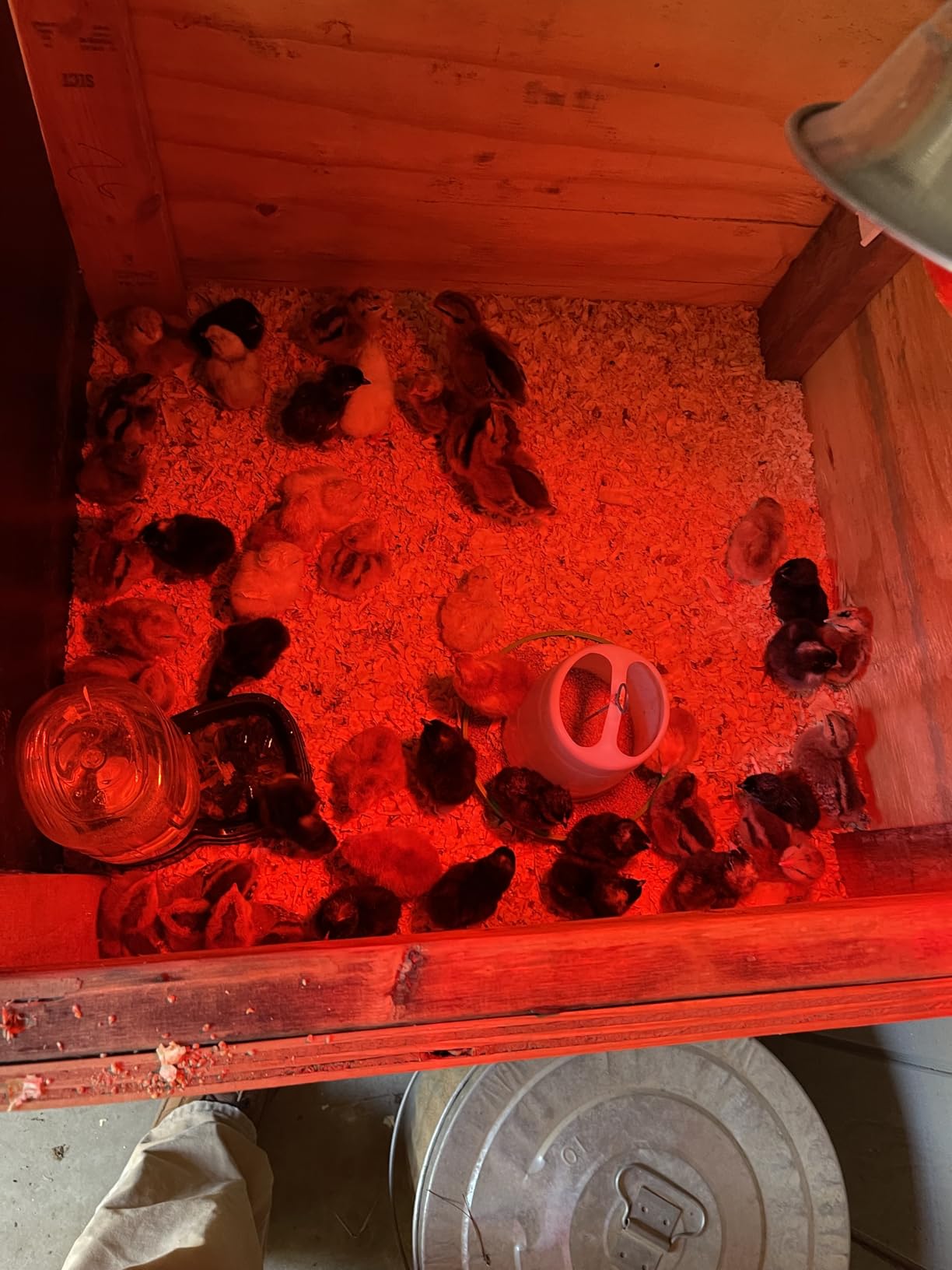 Hatching Time Incubators for Hatching Eggs, CT120SH Egg Setter & Hatcher customer photo 1
