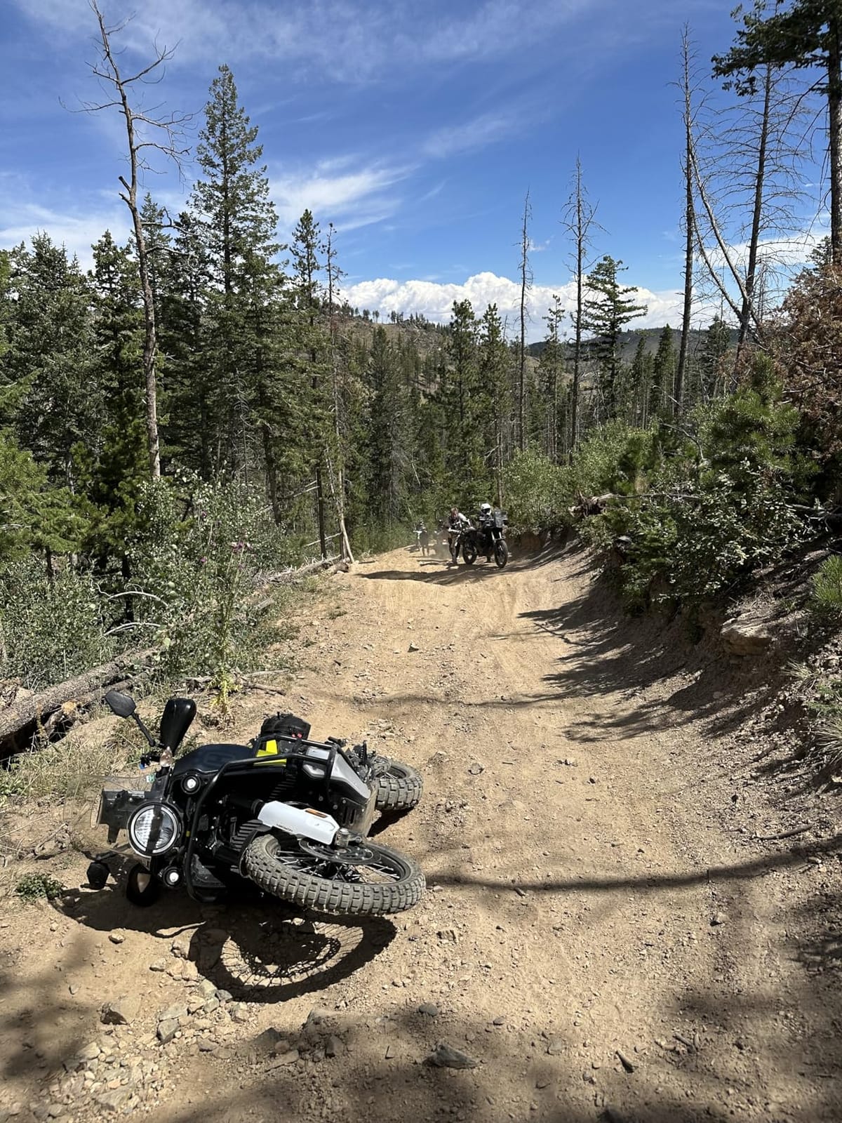 Tusk Traverse Pannier Bags customer photo 2