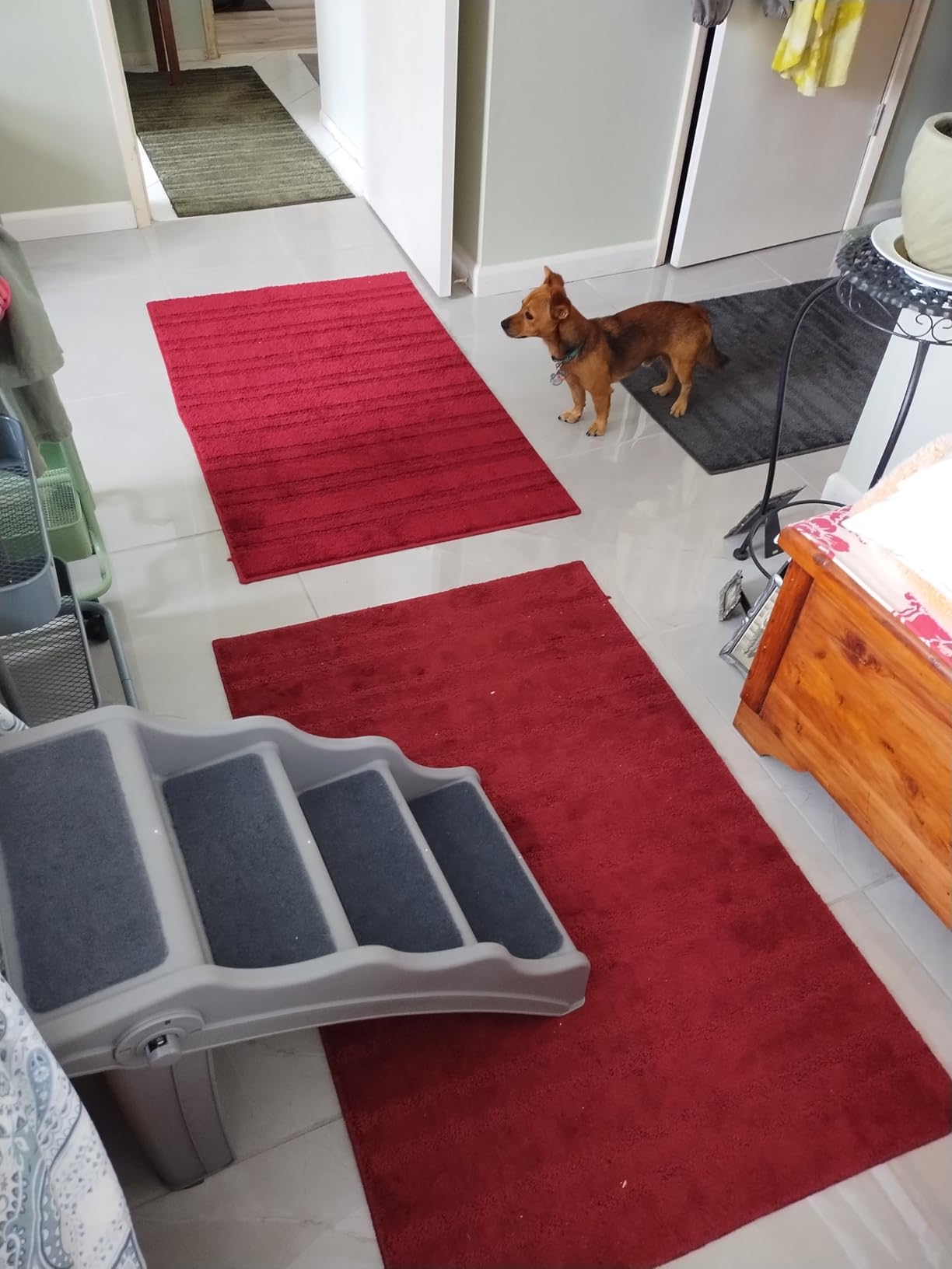 Amazon Basics Foldable Non-Slip Pet Stairs for Small Dogs and Cats, Senior Pets, Easy to Climb, 14.6