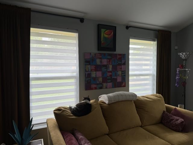 Joydeco Cordless Zebra Blinds for Indoor Windows, 35